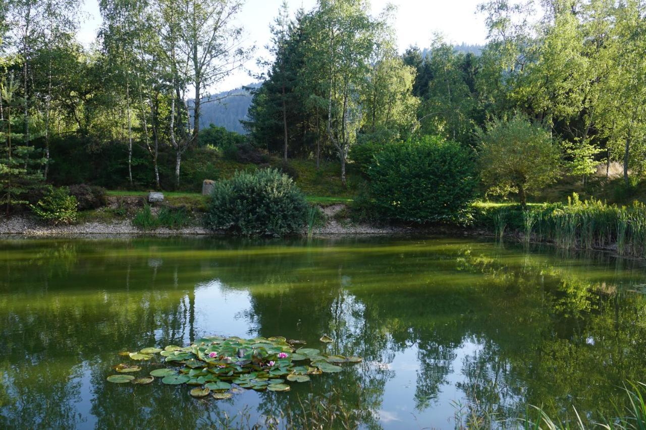 La Maison Et L'Etang - Grand Terrain Prive Vagney المظهر الخارجي الصورة